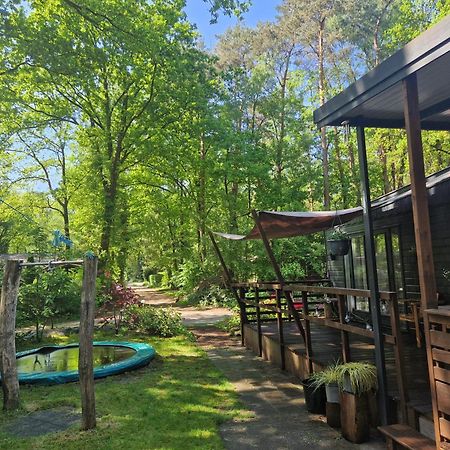 Heerlijk Huisje In Het Bos Op Chaletpark Kempenbos Diessen Extérieur photo