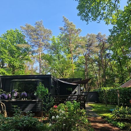 Heerlijk Huisje In Het Bos Op Chaletpark Kempenbos Diessen Extérieur photo