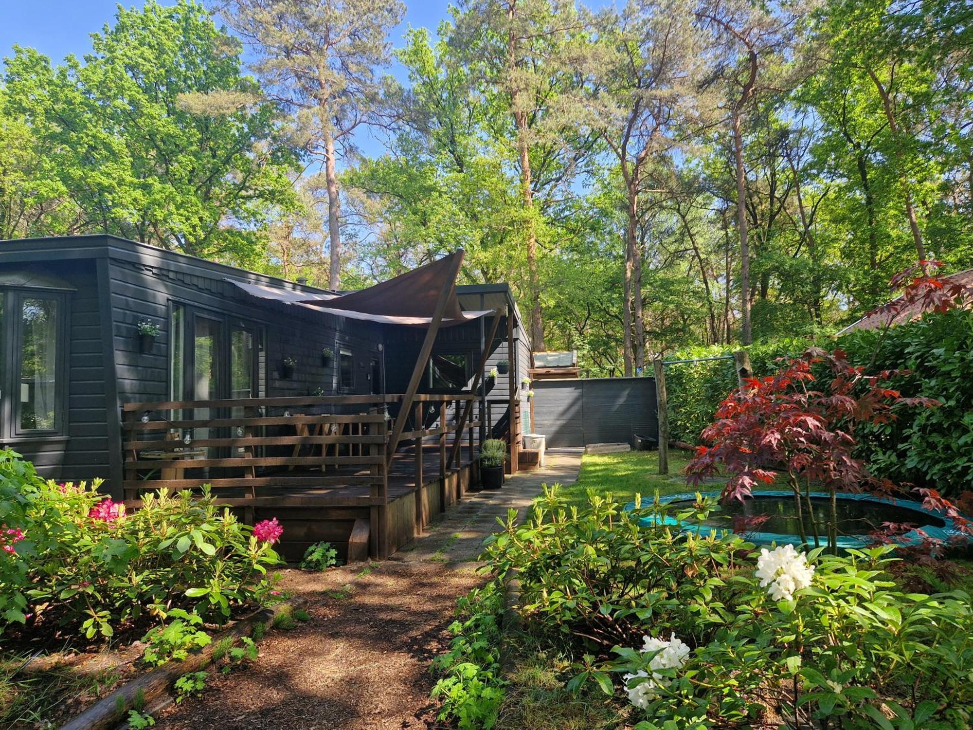 Heerlijk Huisje In Het Bos Op Chaletpark Kempenbos Diessen Extérieur photo